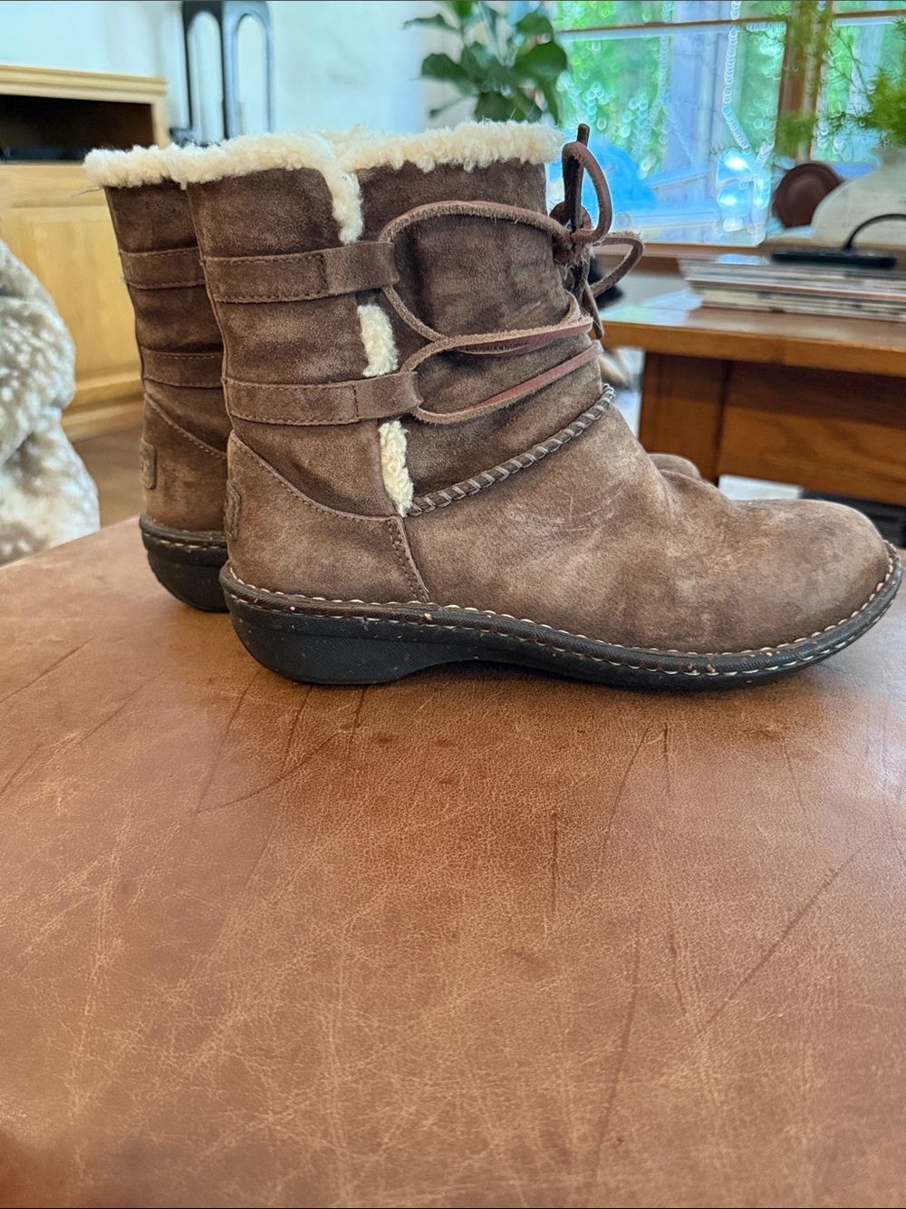 UGG Brown Suede Shearling-Lined Ankle Boots